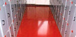 MONEPOX